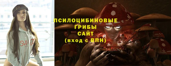 молекула духа Мегион