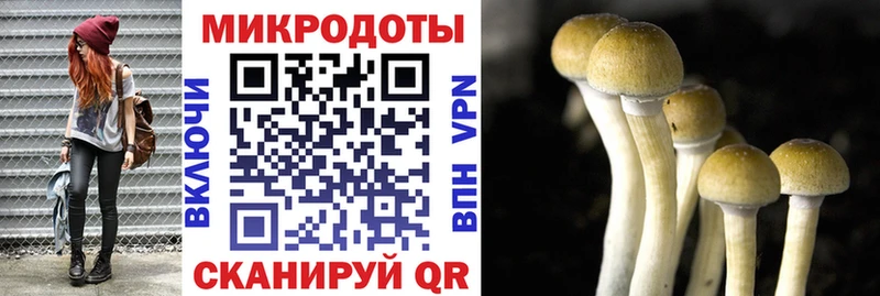 Псилоцибиновые грибы GOLDEN TEACHER  OMG как зайти  мориарти как зайти  купить   Серов 