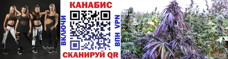 Марихуана план  Серов 